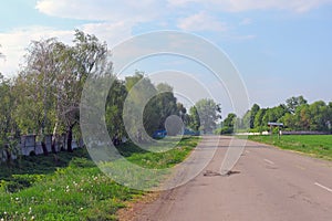 Rural areas. Field. Road. Trees