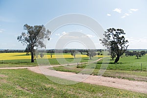 Rural areas point view in regional Australia, Walla Walla town