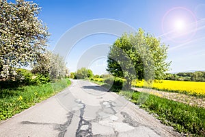 Rural asphalt road among the spring field