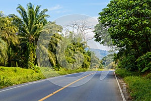 Rural asphalt road in Thailand province