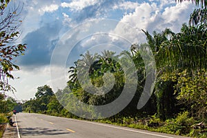 Rural asphalt road in Thailand province