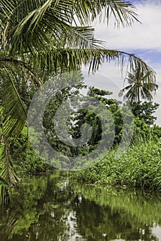 Rural atmosphere of distributary canal of Khlong Bang Chueak Nang,Taling Chan District,Bangkok\'s Thonburi side