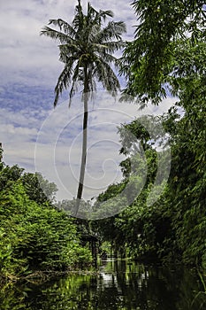 Rural atmosphere of distributary canal of Khlong Bang Chueak Nang,Taling Chan District,Bangkok\'s Thonburi side