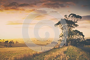 Rural Australia farmland