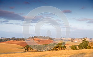 Rural Australia farmland