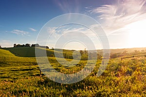 Rural Australia landscape