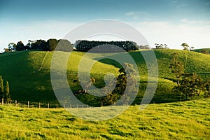 Rural Australia landscape