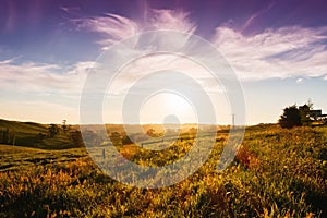 Rural Australia landscape