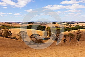 Australia countryside photo