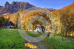 Rural autumn landscape