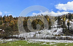 Rural Autumn Landscape