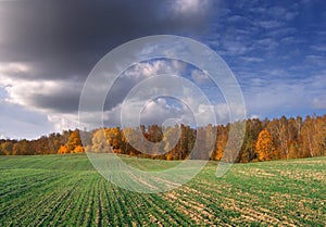 Rural autumn landscape