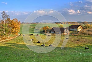 Rural autumn landscape