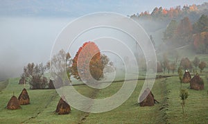 rural autumn landscape with fog and hay stacks