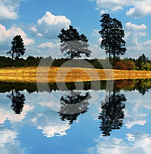 Rural autumn landscapes