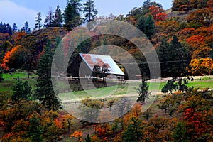 A Rural Barn in Autumn