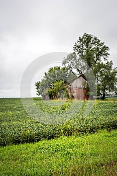 A Rural Barn, Winterset, Madison County, Iowa