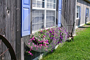 Rural barnboard house