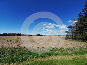 Rural Bliss in Waterloo Region