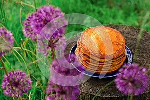 Rural breakfast of a stack of pumpkin pancakes in the fresh air. Picnic with healthy and wholesome food in the nature.