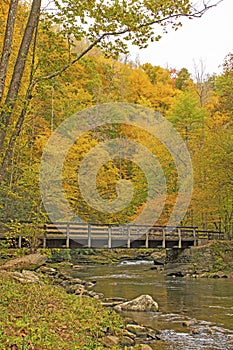 Rural Bridge in a Fall Forest