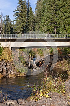Rural Bridge over Rogue River