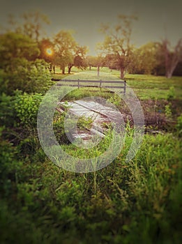 Rural bridge in Texas,  sunrise scenery in a field