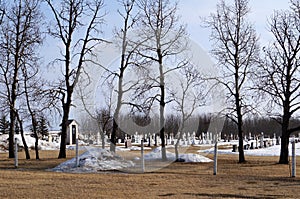Rural Cemetery with Spooky Trees