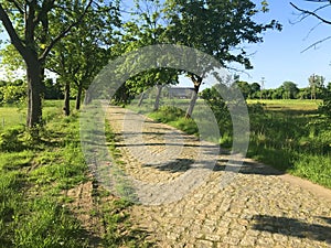 Rural cobblestone road in Poland on a summer day