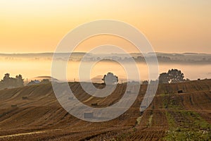 Rural colorful foggy landscape at sunrise. Harvested agricultural hilly wheat field with straw bales and foggy countryside dale