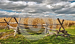 Rural Cornfield in autumn