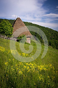 Rural cottage with cane roof in remote rural area of Transylvania mountains