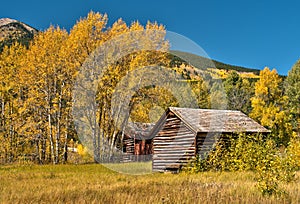Rural Country Cabin in Colorado fall colors