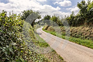 Rural country lane winding into the distance