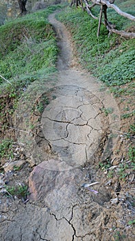 Rural country path