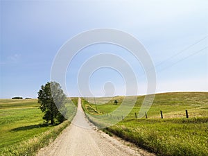 Rural country road.