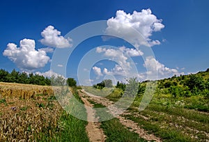 Rural country road and wheat field with ears, natural scenery and blue sky