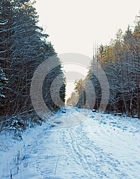 Rural country road in winter snowy day