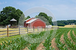 Rural Country York County Pennsylvania Farmland, on a Summer Day