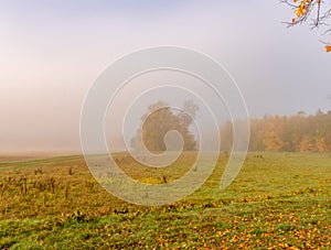 Rural countryside with fall foliage, trees, meadow, grass on a misty sunny day