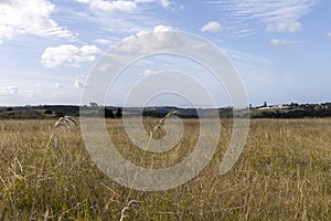 A rural countryside on the Garden Route of South Africa