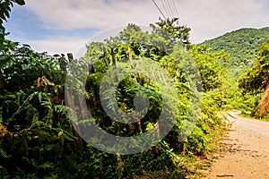 Rural Countryside Landscape