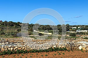 Rural countryside of Malta with dry vegetation, crop fields, plowed land