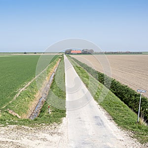 Rural countryside of noord beveland in dutch province zeeland on sunny spring day photo