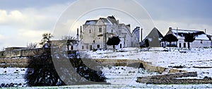 Rural countryside puglia countryside