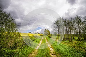 Rural countryside road in cloudy weather
