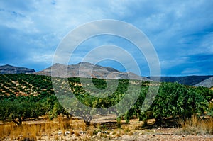 Rural Crete - Mountain Road 15