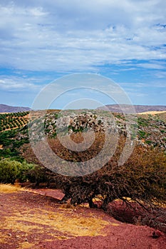 Rural Crete - Mountain Road 21