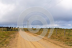 A Rural Dairy Property In Country Australia