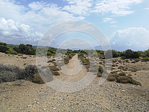 Rural dirt road